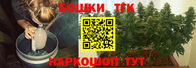 spice Новодвинск