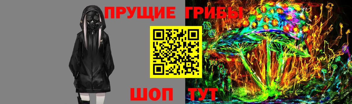что такое   Вход с VPN  Светлоград  Псилоцибиновые грибы мицелий 